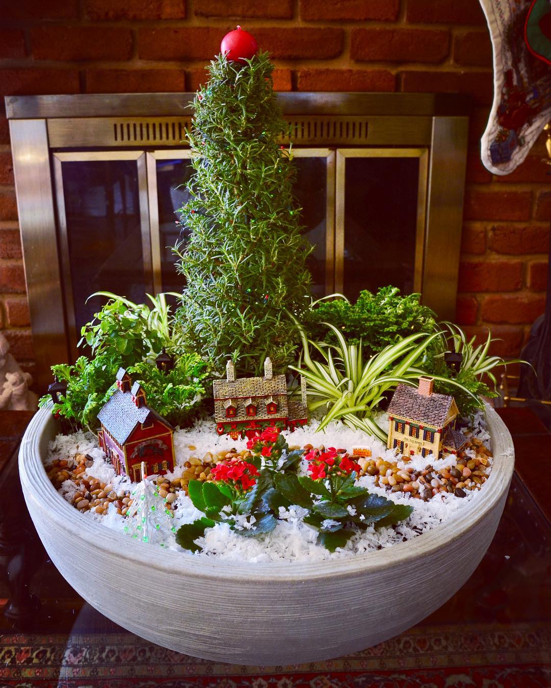 Create a Christmas scene with live plants in a pot as a fun family project