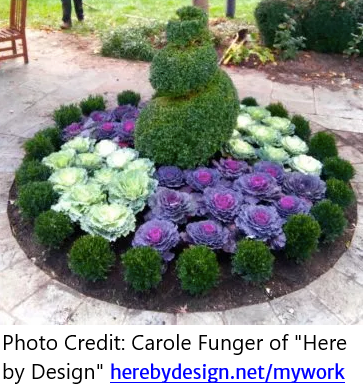 Paterre Planting with Kale by Carole Funger of Here by Design, Maryland