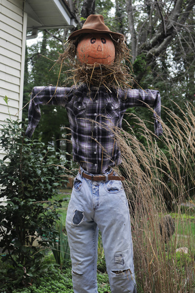 Pumpkin Scarecrow with Pot Ring